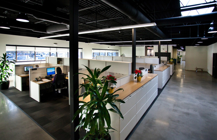 Existing office renovation creates modernized interior space.